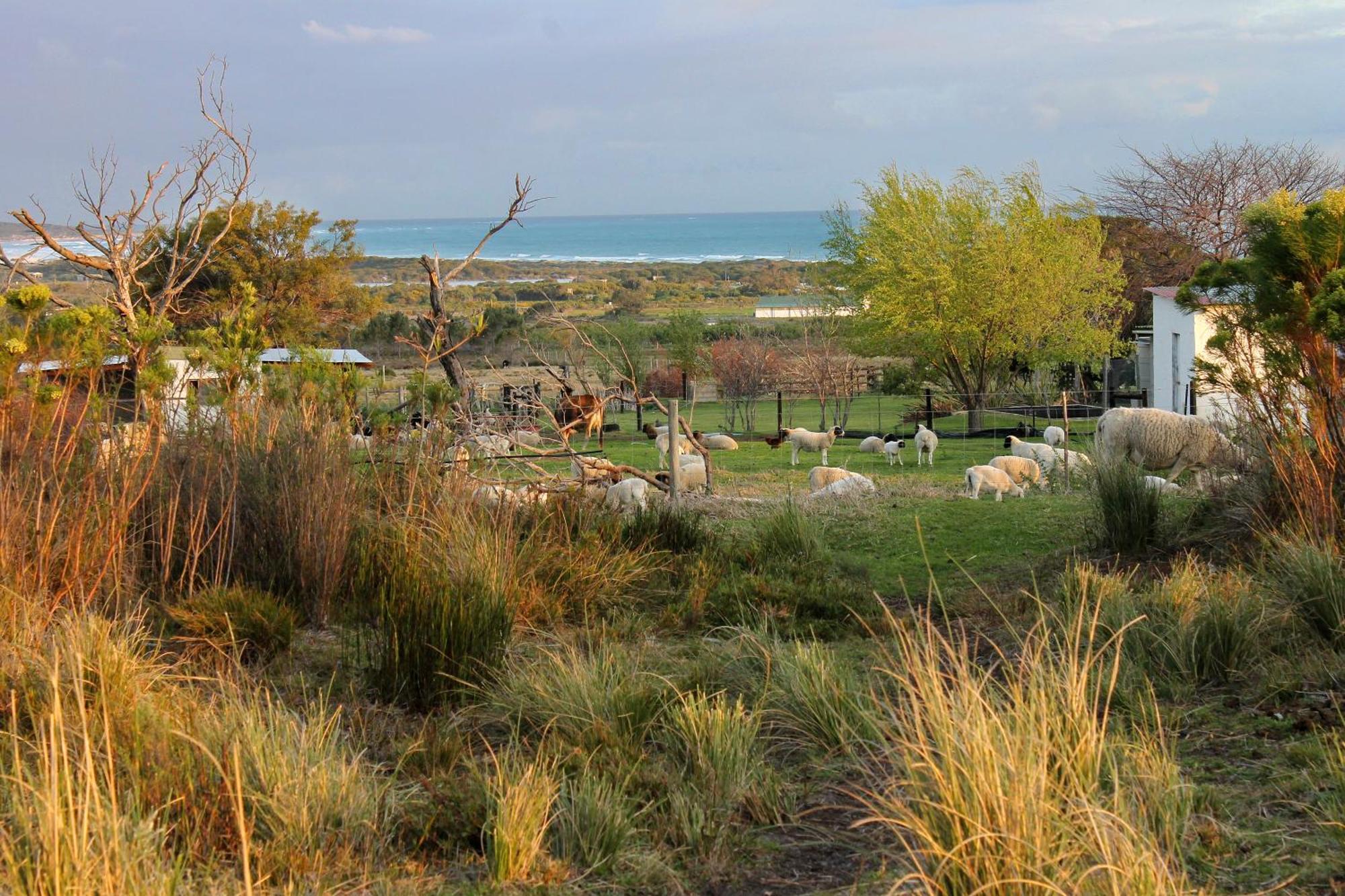 Blombos Self-Catering House Villa Franskraalstrand Exterior foto