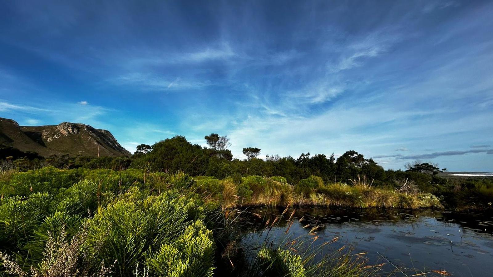 Blombos Self-Catering House Villa Franskraalstrand Exterior foto
