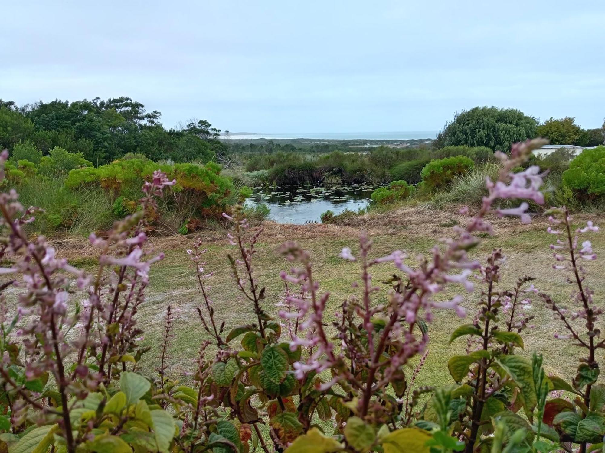 Blombos Self-Catering House Villa Franskraalstrand Exterior foto